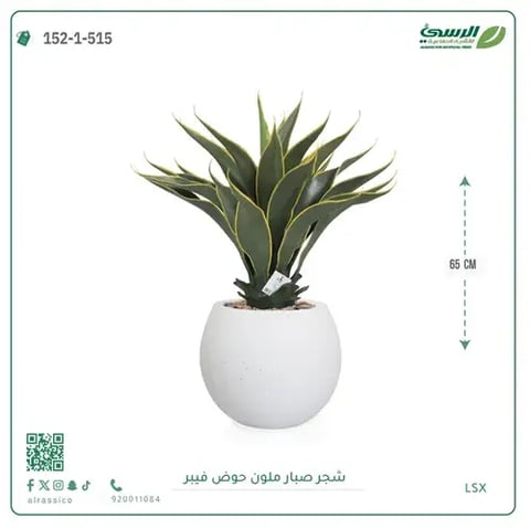 شجرة صبار صناعية ملونة ( ارتفاع 65 سم ) حوض فيبر