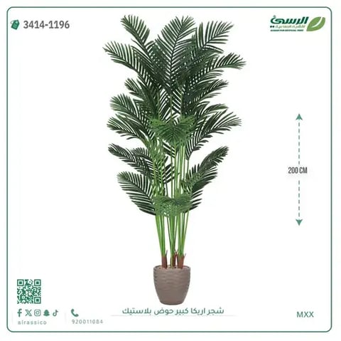 شجر أريكا صناعية ( ارتفاع 200 سم ) حوض بلاستك