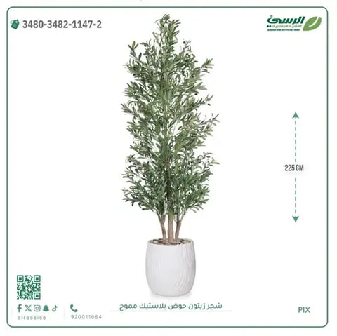 شجر زيتون صناعية ( ارتفاع 225 سم ) حوض بلاستك
