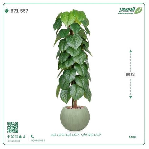 شجرة ورق قلب اصطناعية ( ارتفاع 200 سم ) حوض فايبر