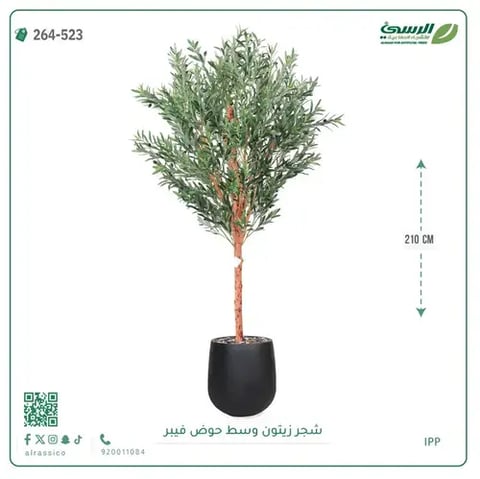 شجرة زيتون صناعية (ارتفاع 210 سم) بحوض فيبر