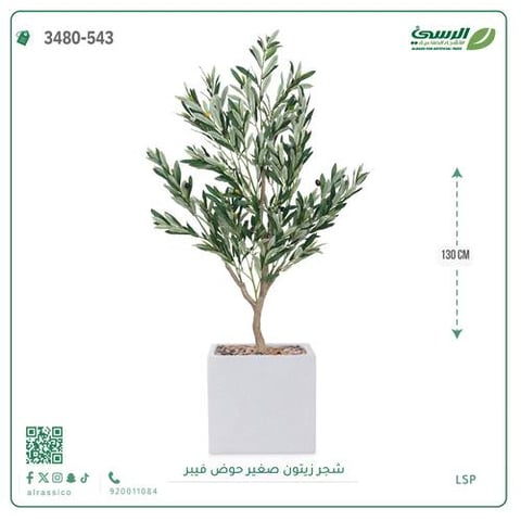 شجرة الزيتون الصناعية (ارتفاع 130 سم) حوض فيبر