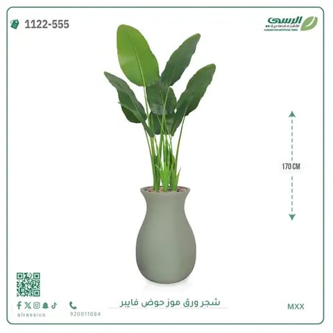 شجرة موز صناعية ( ارتفاع 170 سم ) حوض فيبر