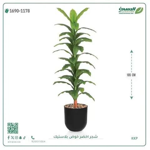شجرة ذرة صناعية (ارتفاع 185 سم) حوض بلاستيك