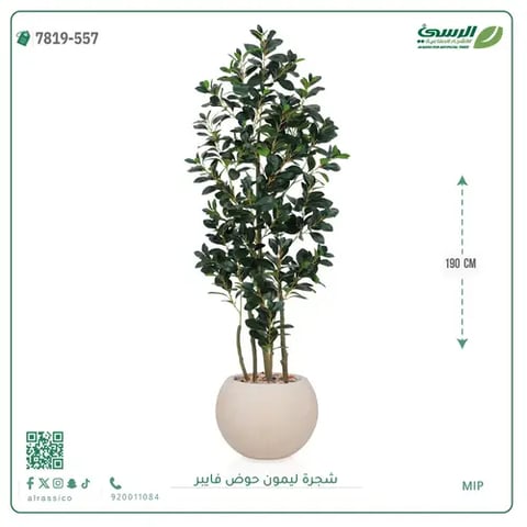 شجرة ليمون اصطناعية ( ارتفاع 190 سم ) حوض فيبر