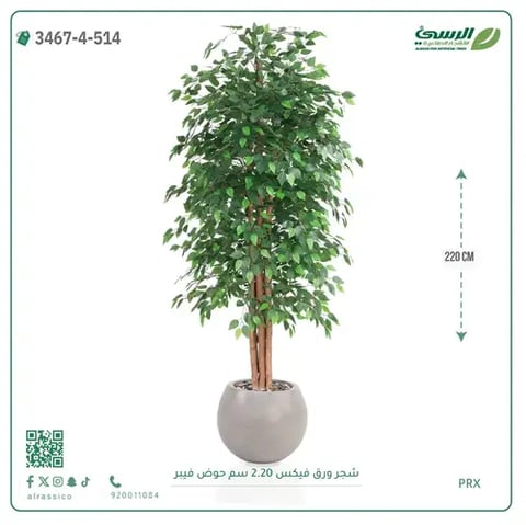 شجر فيكس صناعية (ارتفاع 220 سم) حوض فيبر
