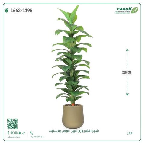 شجر مونستيرا صناعي ( ارتفاع 230 سم ) حوض بلاستيك