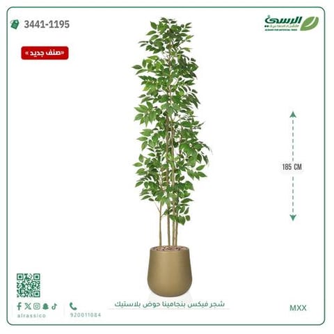 شجرة فيكس بنجامينا صناعية (ارتفاع 185 سم) حوض بلاستيك