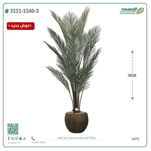 شجرة اريكا صناعية ( ارتفاع 190 سم ) حوض بلاستك