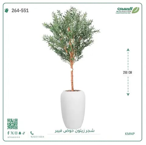 شجر زيتون صناعية ( ارتفاع 250 سم ) حوض فيبر