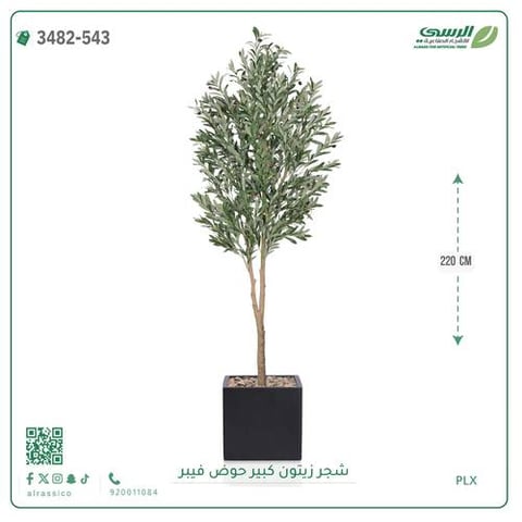 شجرة زيتون صناعية ( ارتفاع 220 سم ) حوض فيبر