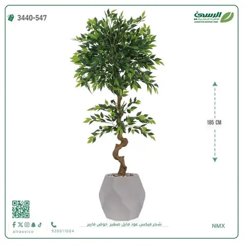 شجرة فيكس عود مائل صغيرة صناعية (ارتفاع 185 سم) حوض فيبر