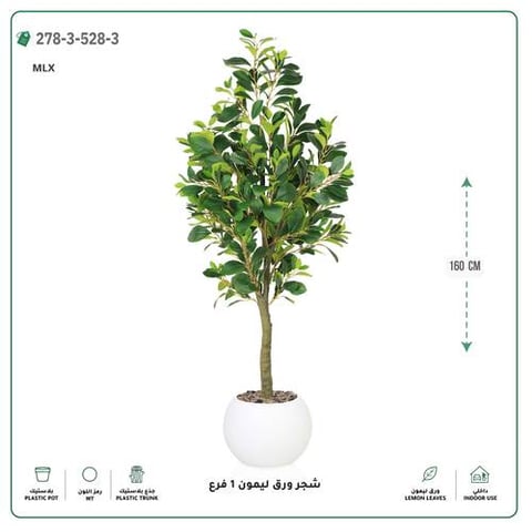 شجرة ورق ليمون صناعية فرع واحد (ارتفاع 160 سم) حوض بلاستيك
