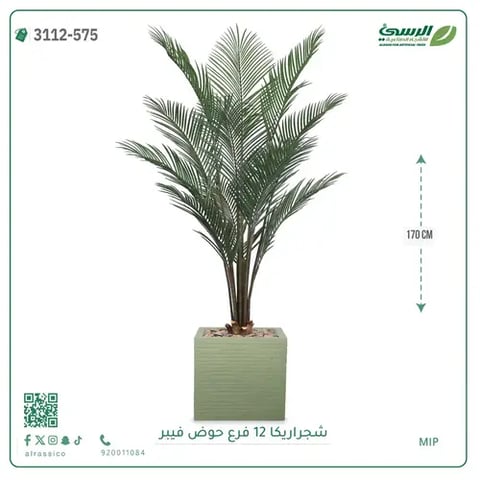 شجرة أريكا صناعية 12 فرع (ارتفاع 170 سم) حوض فيبر