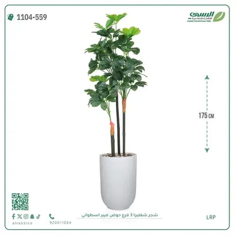 شجرة شيفليرا صناعية (ارتفاع 175 سم) بحوض فيبر