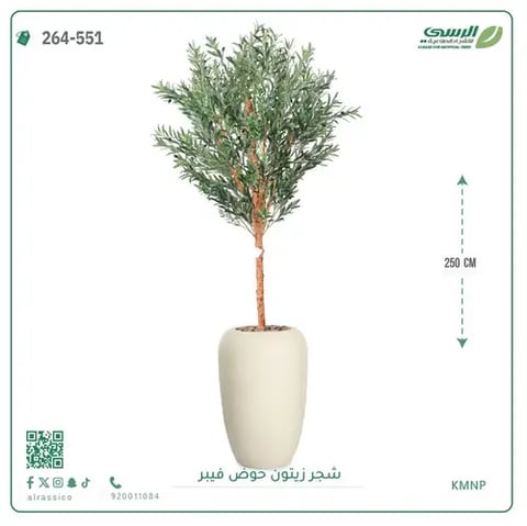 شجر زيتون صناعية ( ارتفاع 250 سم ) حوض فيبر
