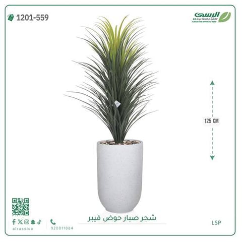 شجرة صبار اصطناعية ( ارتفاع 125 سم ) حوض فيبر