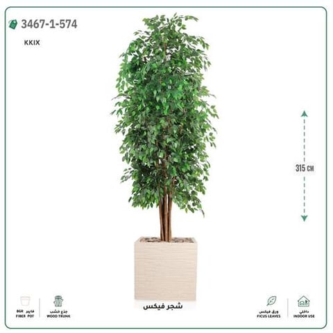 شجر فيكس صناعية (ارتفاع 315 سم) حوض فيبر جلاس مربع