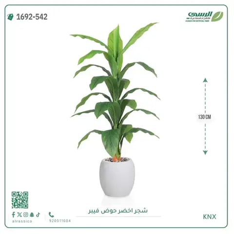 شجرة ورق ذرة صناعية (ارتفاع 130 سم) بحوض فيبر
