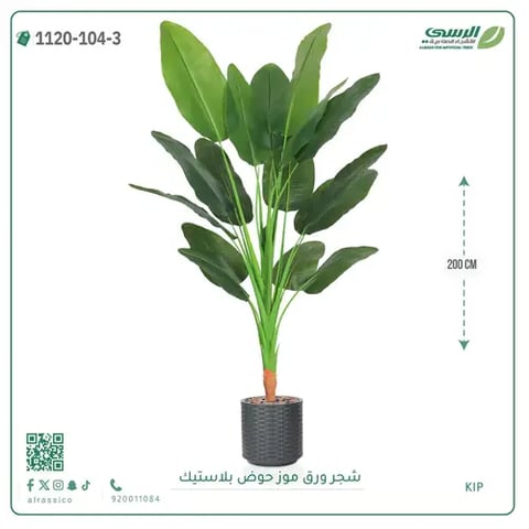 شجرة موز صناعية ( ارتفاع 200 سم ) حوض بلاستيك