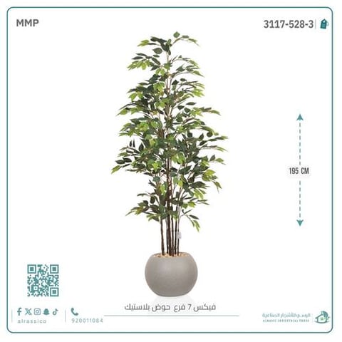 شجرة فيكس (7 فروع) بارتفاع195بمركن بلاستيك دائرى