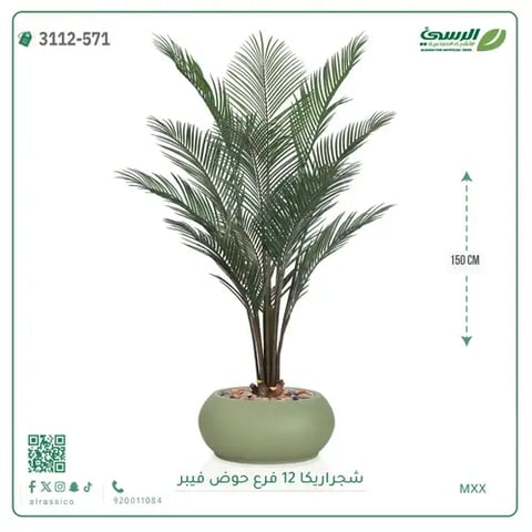 شجرة أريكا صناعية 12 فرع (ارتفاع 150 سم) حوض فيبر