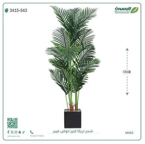 شجر أريكا صناعية ( ارتفاع 175 سم ) حوض فيبر