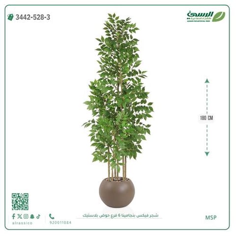 شجرة فيكس بنجامينا صناعية 6 فروع (ارتفاع 180 سم) حوض بلاستيك