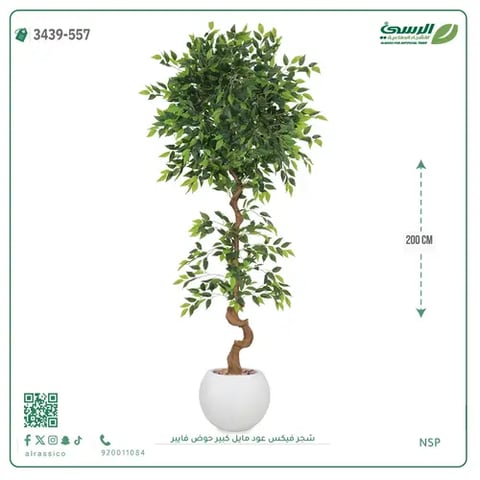 شجرة فيكس صناعية عود مائل (ارتفاع 200 سم) حوض فيبر