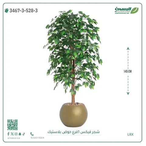 شجر فيكس صناعية (ارتفاع 145 سم) حوض بلاستيك