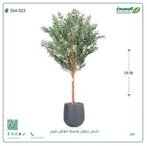 شجرة زيتون صناعية (ارتفاع 210 سم) بحوض فيبر