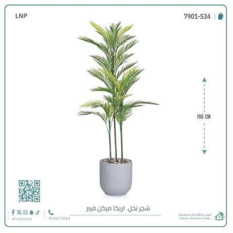 نخل أريكا اصطناعية (3 فرع) بمركن فيبر  أسطواني
