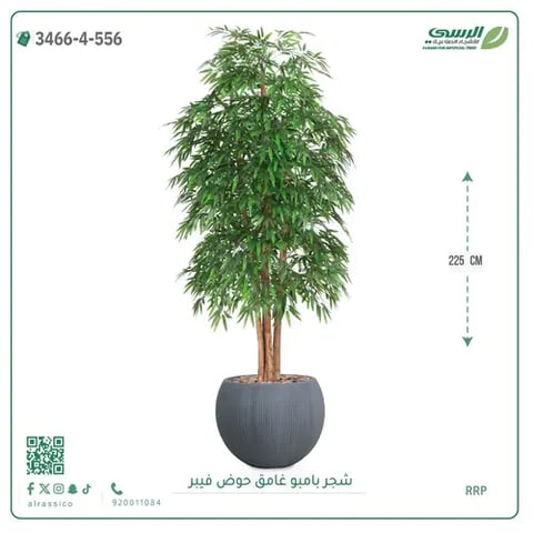 شجرة بامبو صناعية غامق (ارتفاع 225 سم) حوض فيبر