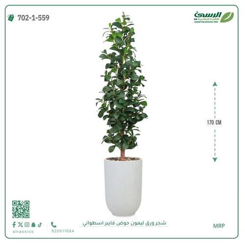 شجرة ورق ليمون صناعية (ارتفاع 170 سم) حوض فيبر أسطواني