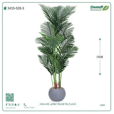 شجر أريكا صناعية ( ارتفاع 170 سم ) حوض بلاستك