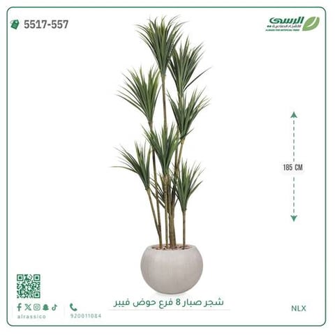 شجرة صبار صناعية ( ارتفاع 185 سم ) حوض فيبر مقلم