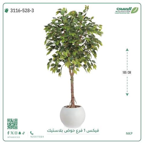 شجرة فيكس صناعية ( ارتفاع 185 سم ) حوض بلاستيك