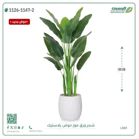 شجرة موز صناعية ( ارتفاع 185 سم ) حوض بلاستيك