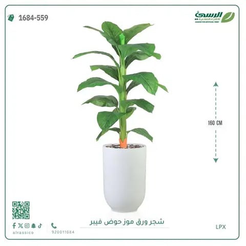 شجرة ورق موز صناعية ( ارتفاع 160 سم ) حوض فيبر