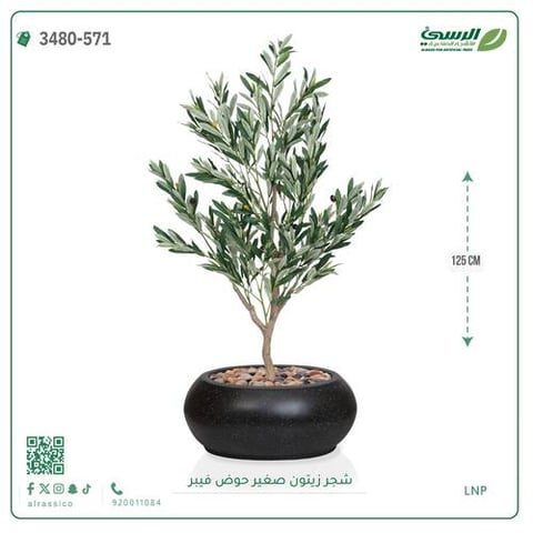شجرة الزيتون الصناعية (ارتفاع 125 سم) حوض فيبر