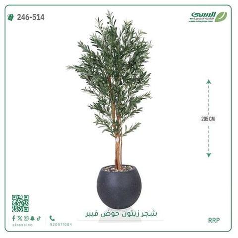 شجرة زيتون صناعية ( ارتفاع 205 سم ) حوض فيبر