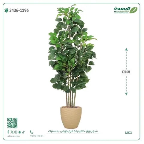 شجرة كاميليا صناعية (ارتفاع 170 سم) بحوض بلاستيك