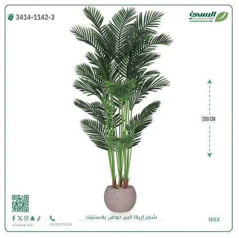 شجر أريكا صناعية ( ارتفاع 200 سم ) حوض بلاستك
