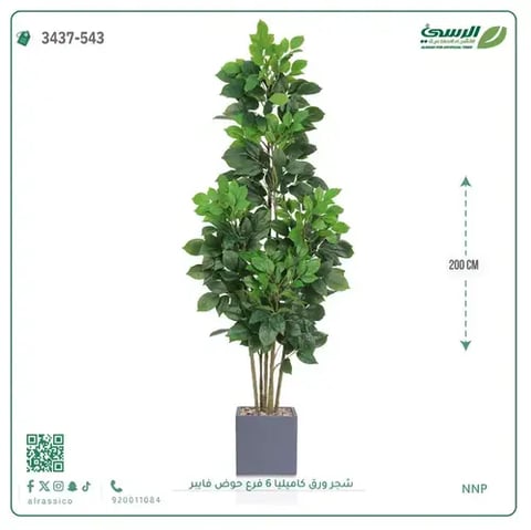شجرة كاميليا صناعية (ارتفاع 200 سم) 6 فروع حوض فيبر