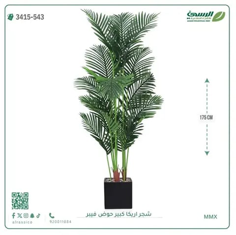 شجر أريكا صناعية ( ارتفاع 175 سم ) حوض فيبر