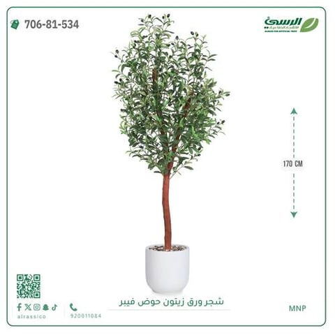 شجرة زيتون صناعية ( ارتفاع 170 سم ) حوض فيبر أسطواني