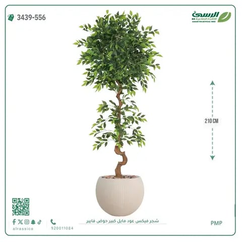 شجرة فيكس صناعية عود مائل (ارتفاع 210 سم) حوض فيبر