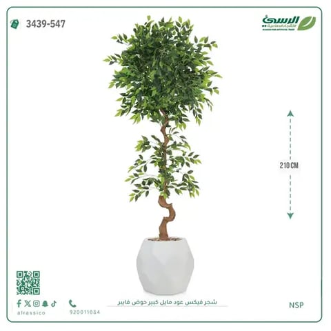 شجرة فيكس صناعية عود مائل (ارتفاع 210 سم) حوض فيبر