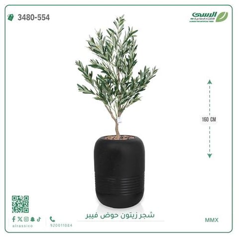 شجر زيتون اصطناعية ( ارتفاع 160 سم ) حوض فيبر