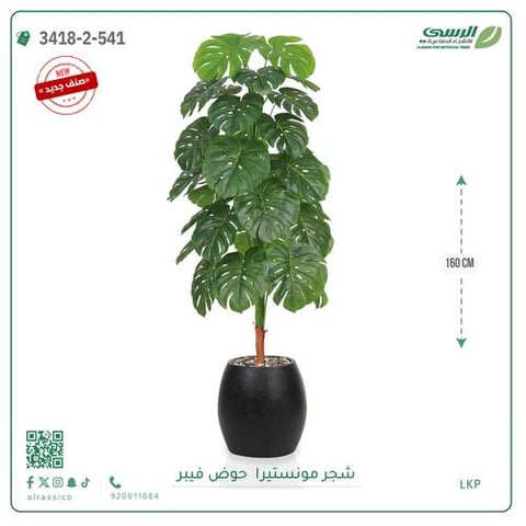 شجرة ورق قلب صناعية ( ارتفاع 160 سم ) حوض فيبر